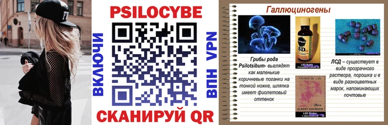 Псилоцибиновые грибы Psilocybe  Нижний Тагил 