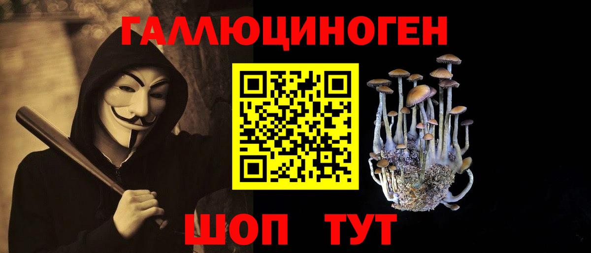 Псилоцибиновые грибы Psilocybe Нижний Тагил