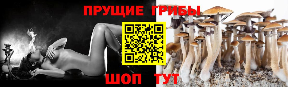 закладка  Вход с VPN  Нижний Тагил  Галлюциногенные грибы ЛСД 