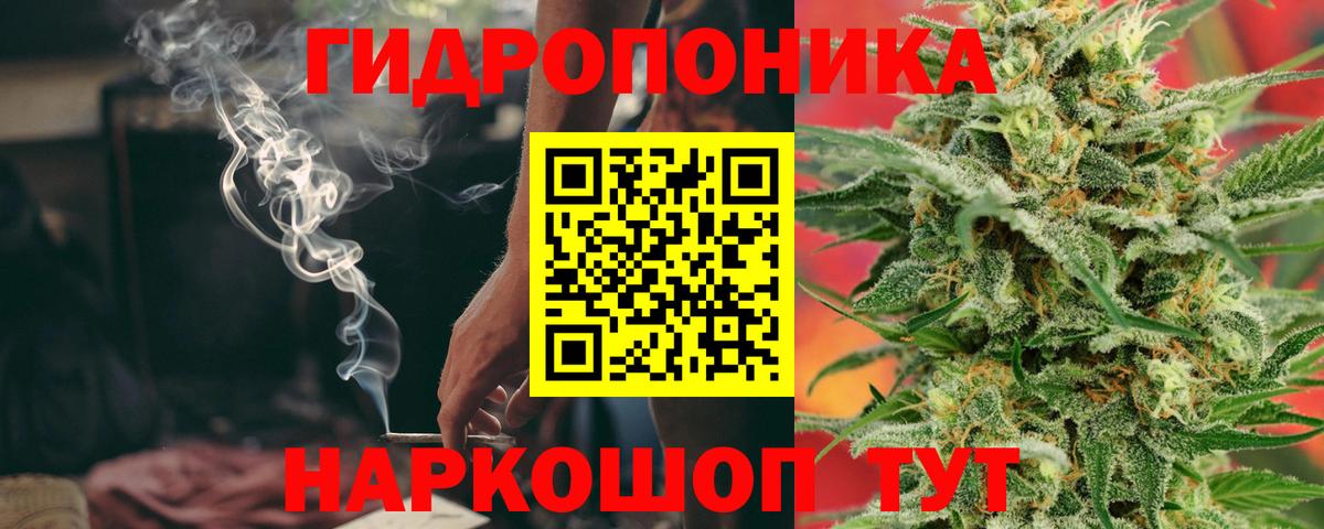 Шишки марихуана тримм  Вход с VPN  Конопля Ganja  Канабис план  Нижний Тагил 